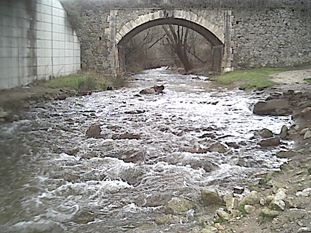 Río Duratón a su paso por Siguero